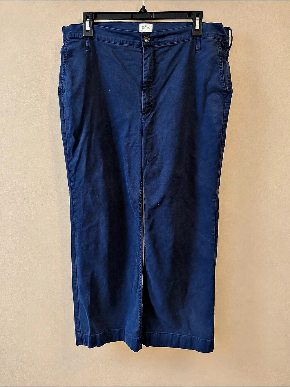 J.Crew Wide Leg Cropped Pants in Blue Size 34